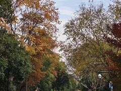 -西溪国家湿地公园