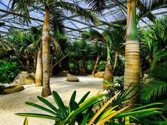 -南通洲际绿博园