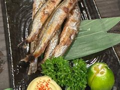 -九州酒场ひこぞう(2号店)