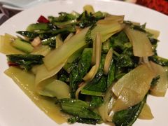 大盘莴苣叶-黄泥岗·地道湖北菜(奥特莱斯店)