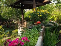 -鹅湖玫瑰文化园
