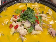 -鲁宴·鲁煨黄河生态大鲤鱼(月坛店)