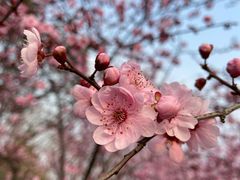-白塘生态植物园