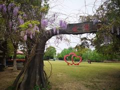 -梁鸿国家湿地公园