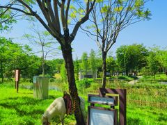 -王借岗森林公园
