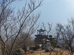 -北京鹫峰国家森林公园