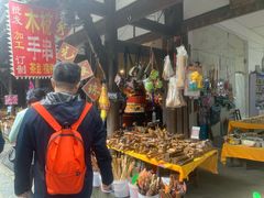 -安仁古镇