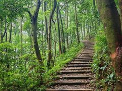-广州市帽峰山景区