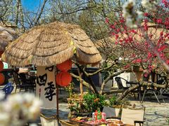 -桃源山庄·水蜜桃采摘·柴火鸡·烧烤团建(龙泉山店)