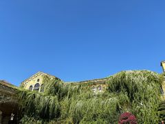 -府河摄影公园