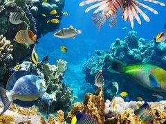 -福州罗源湾海洋世界旅游区