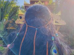 -西双版纳原始森林公园