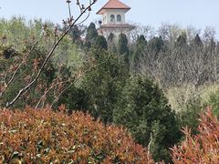 -龙口南山旅游景区