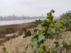 -秋水广场