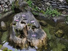-康定跑马山风景区