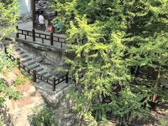 -国家植物园南园