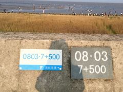 -南汇嘴观海公园