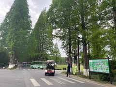 -黄海国家森林公园