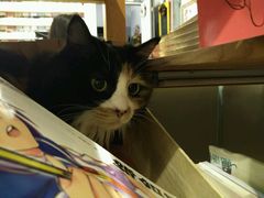 -小时光咖啡馆(开森度假森林店)