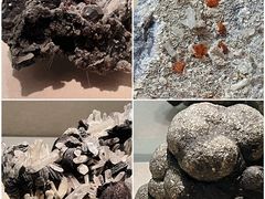 -广东省博物馆