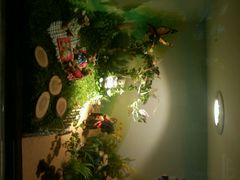 android_upload_pic-济州岛泰迪熊博物馆