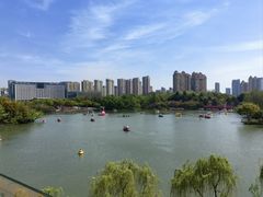 -青枫公园
