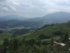 -紫鹊界梯田景区