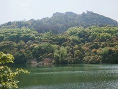 -桃花岛景观公园
