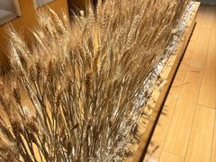 -西村日本料理(香格里拉饭店)