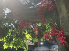 -草原塞蛮羊火锅城(港湾店)