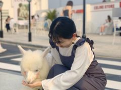 -Blue Concept Cafe&Farm·關於藍