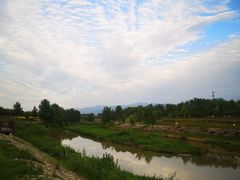 -洨河生态公园