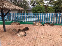 -南丹山森林王国