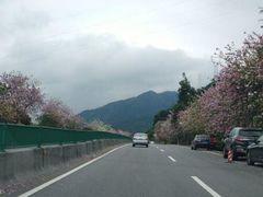 -广州市流溪河国家森林公园