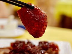 烧鹅-姚林轩