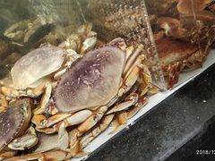 -超级物种·波龙工坊(国贸店)
