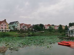 -大塘金香草谷