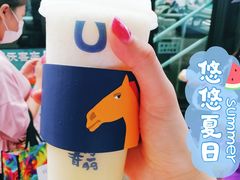 -春丽小马(济南恒隆广场店)