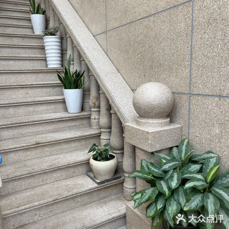 姨妈热饮丨关爱女性的饮品🥤