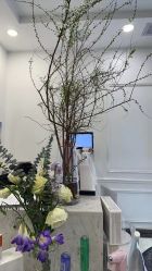 点击看大图 -YESIDO椰岛造型烫发染发