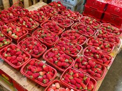 -上海龙吴水胜海发市场