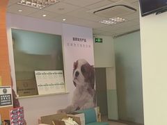-瑞派申生动物医院·24H夜诊·国际动物医疗中心·骨外科(吴中路店)