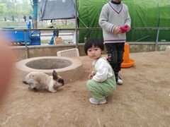 -婴智贝佳蒙特梭利早教托育中心(杨浦店)