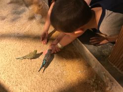 -酷嗒动物文化乐园(cutezoo西溪乐天城店)