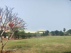 -侯臣咖啡文化村