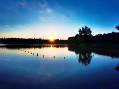 -上海海湾国家森林公园