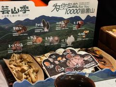 -芸山季·云南山珍菌火锅(人民广场来福士店)