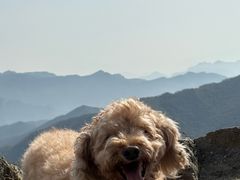 -灵山