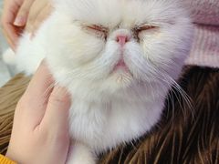 -极木²邸 人与宠物·互动社区