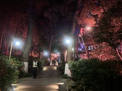 -杭州黄龙洞